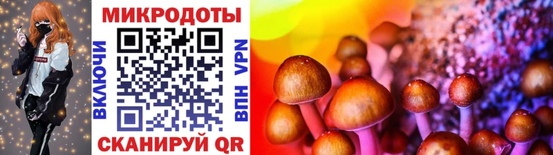 Купить  Верея  Галлюциногенные грибы ЛСД 